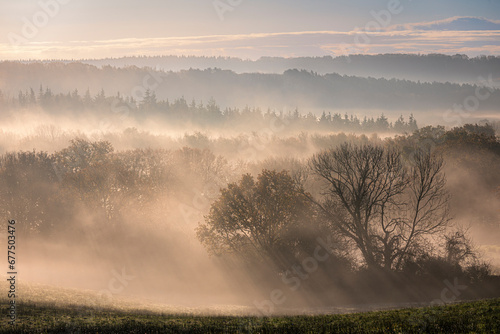 Misty morning in the vale of Penhurst and Ashburnham on the high weald in east Sussex south east England UK photo
