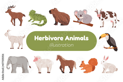 adorable herbivore animal illustration