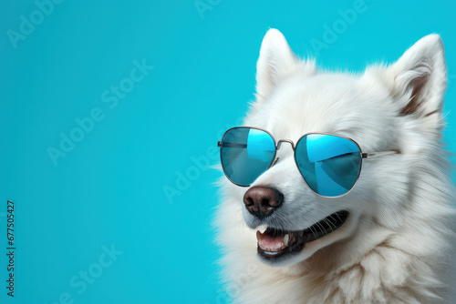 A modern and trendy pet portrait featuring a cool dog in eyewear against a vibrant, stylish light blue background. Fashionista vibes for your design is AI Generative.