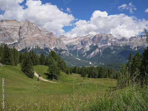 Green Meadows, Fir Trees and Italian Alps Mountains in the Background on a Summer Day - San Vigilio Marebbe, Italy
