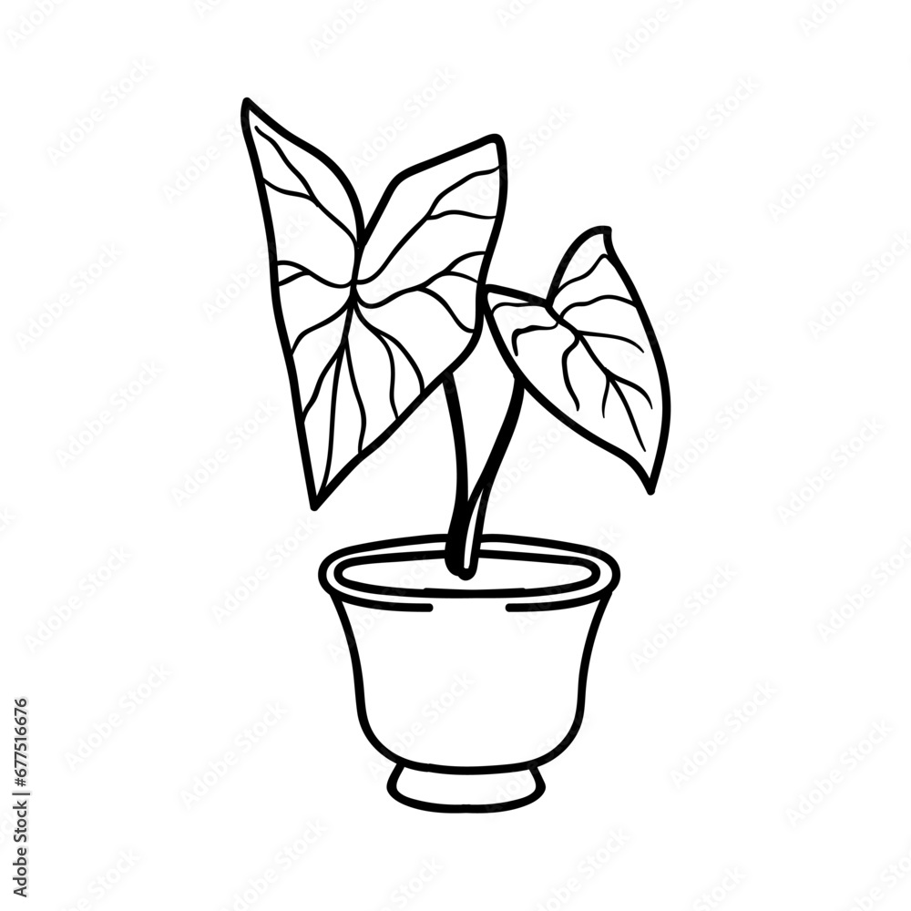 coloring book heart shaped leaf plant black and white coloring book heart shaped leaf plant black and white