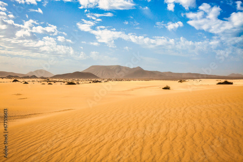 landscape of sandy desert with sparse vegetation and mountains on the horizon