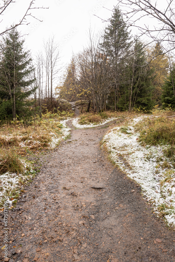 Wanderweg mit etwas Schnee am Rand Wanderweg mit etwas Schnee am Rand