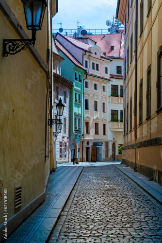 City street in residential area with cobblestone pavement. © luchschenF