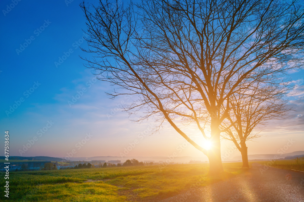 Tranquil sunrise over greenery and mountains.