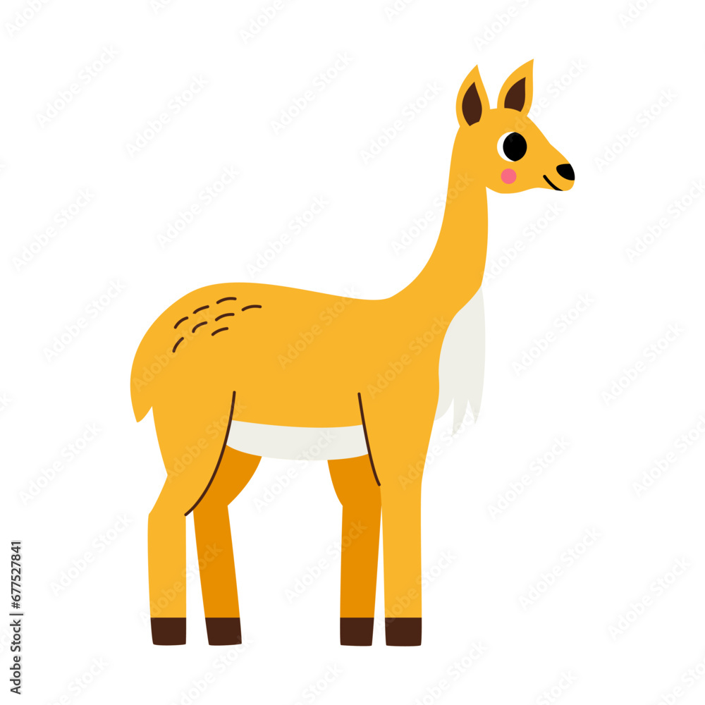 Fototapeta premium Vector illustration of cute cartoon vicuna isolated on white background.