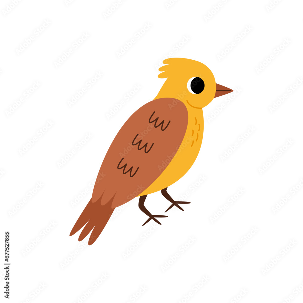 Vector illustration of cute yellowhammer bird isolated on white background. Vector illustration of cute yellowhammer bird isolated on white background.