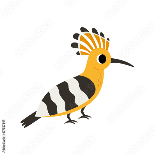 Vector illustration of cute hoopoe bird isolated on white background.