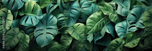 Tropical Floral Leaves Seamless Pattern Green   Banner Image For Website  Background Pattern Seamless  Desktop Wallpaper