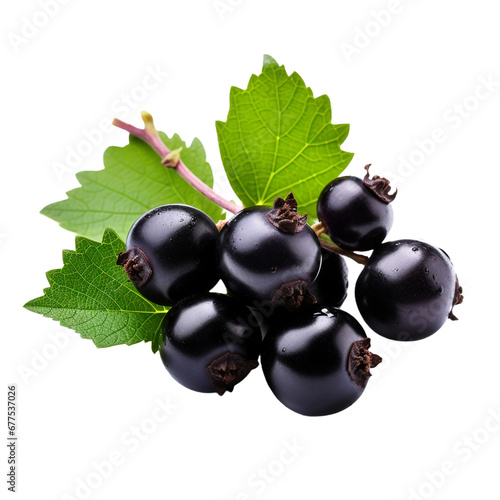 Blackcurrant fruits isolated on transparent background