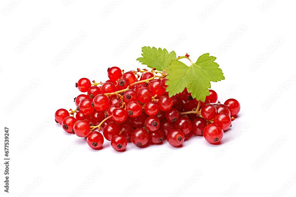 Red currant bunch isolated, Redcurrant pile, ripe red currant berries group on white background Red currant bunch isolated, Redcurrant pile, ripe red currant berries group on white background