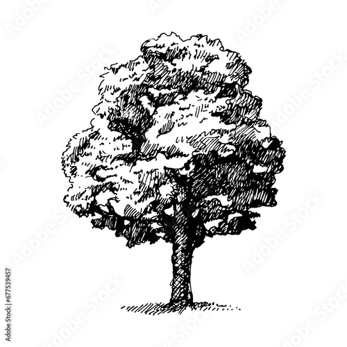 Hand drawn sketch ecology vector isolated illustration
