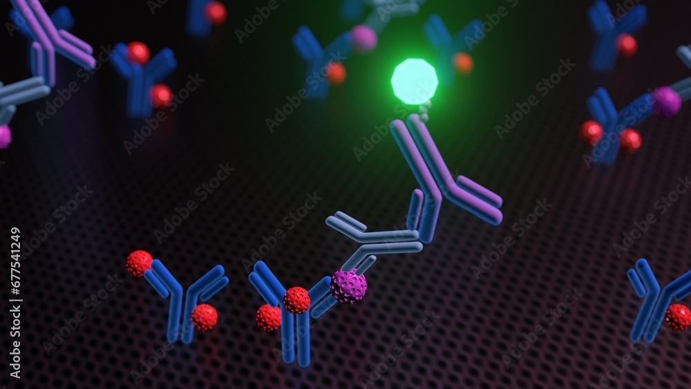 A 3D rendering illustrates a sandwich ELISA technique, where antigen