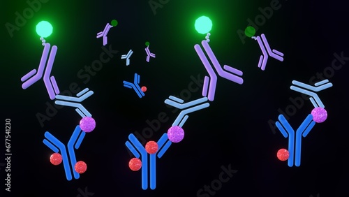 A 3D rendering illustrates a sandwich ELISA technique, where antigen detection is achieved between two layers of antibodies: a capture antibody and a detection antibody photo