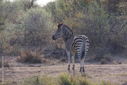 Over-landing and nature in Southern Africa