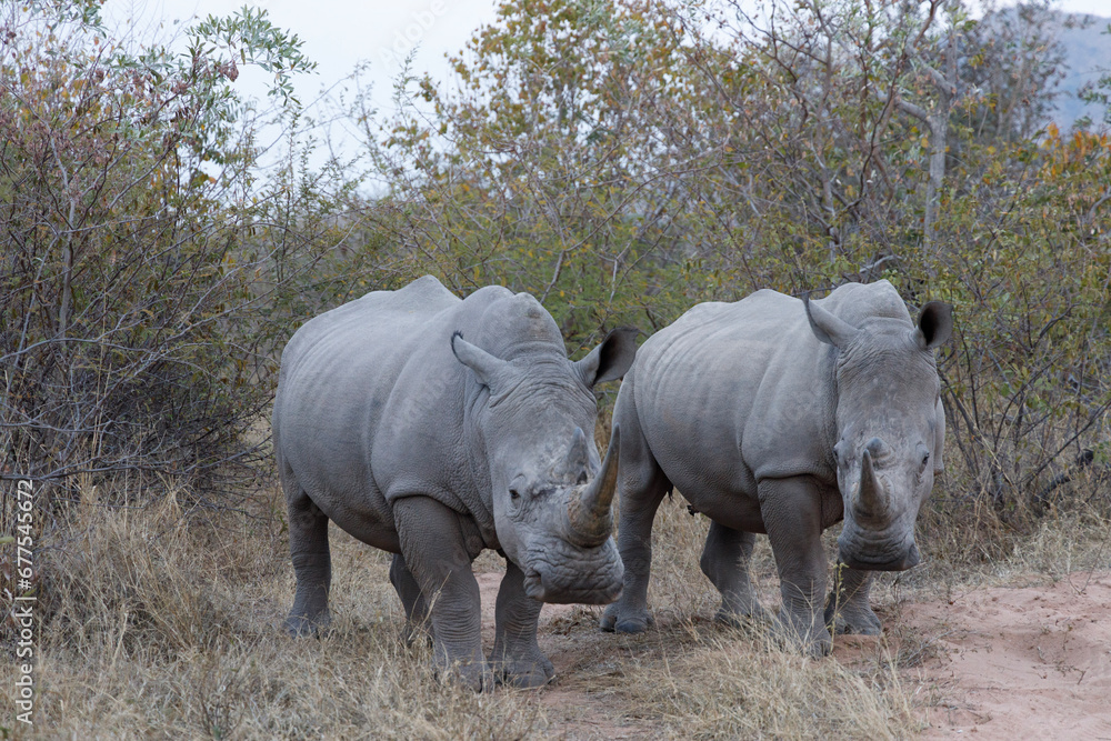 Over-landing and nature in Southern Africa Over-landing and nature in Southern Africa