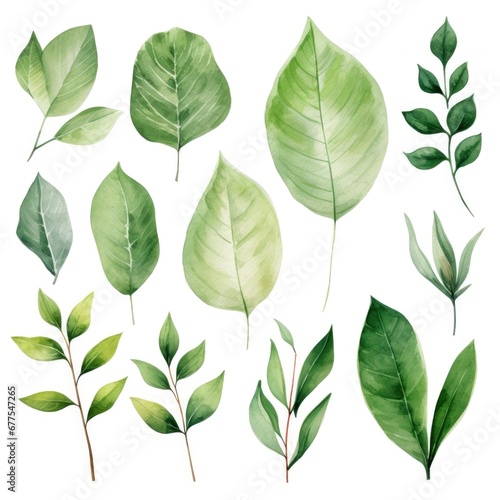 Set of watercolor green leaves on white background. Generative AI