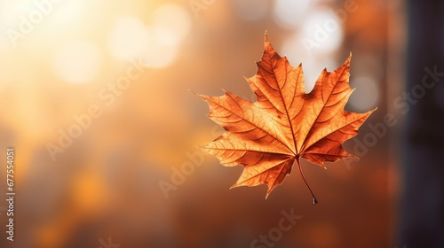 leaf scenic day leaves close illustration beautiful natural  green nobody  background colorful leaf scenic day leaves close