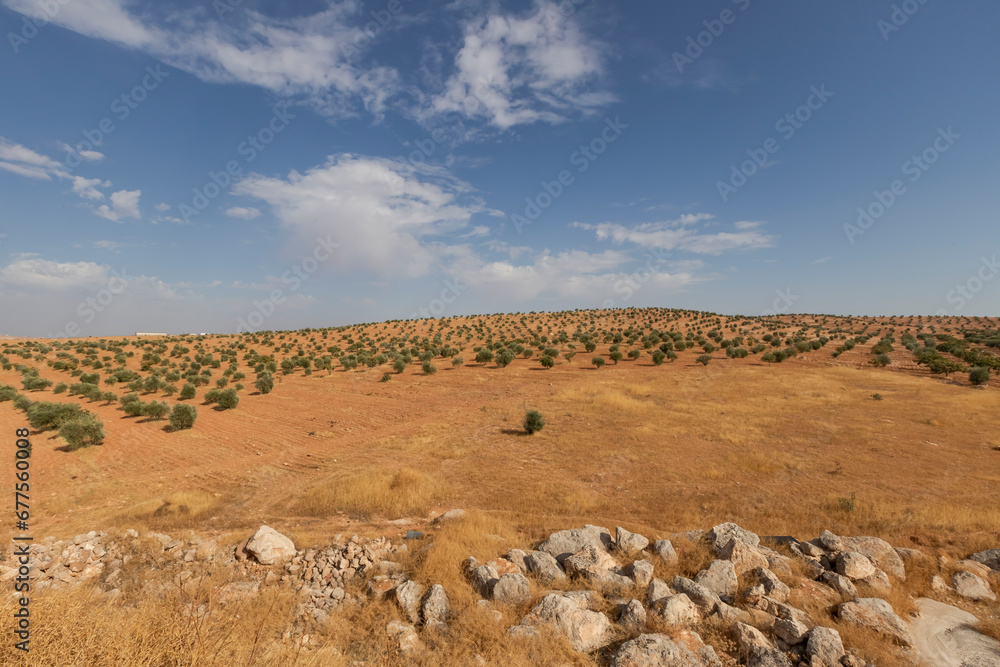 Stunning views of the countryside and mountains during your trip in Turkey. The trees are planted and they look great with the clouds Stunning views of the countryside and mountains during your trip in Turkey. The trees are planted and they look great with the clouds