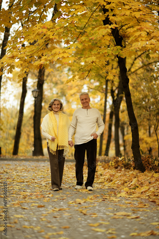 Elderly couple dance in the park in autumn. Elderly couple dance in the park in autumn.