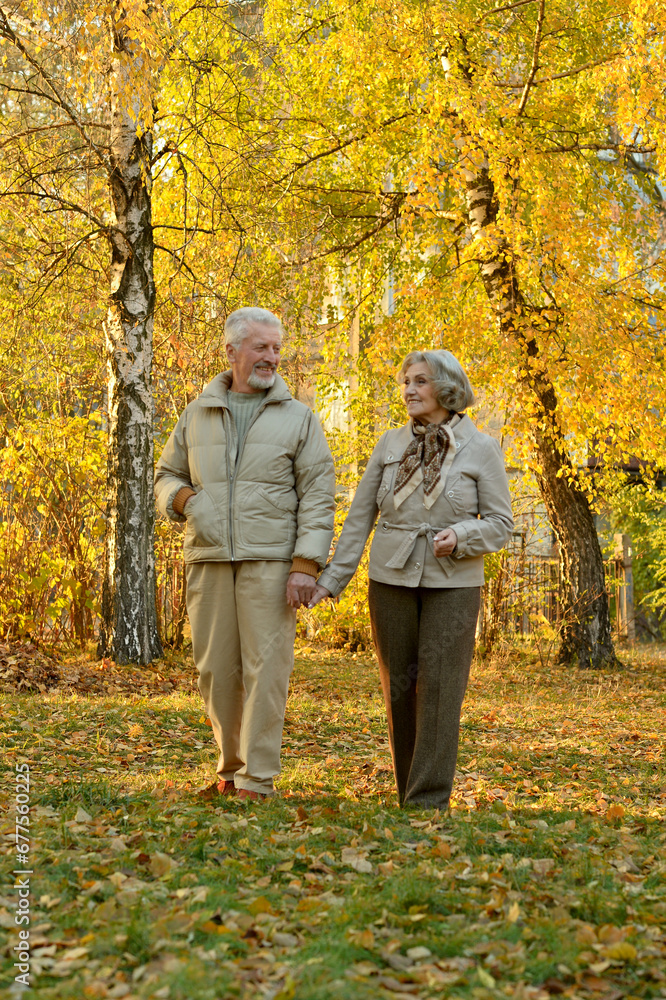 Elderly couple dance in the park in autumn. Elderly couple dance in the park in autumn.