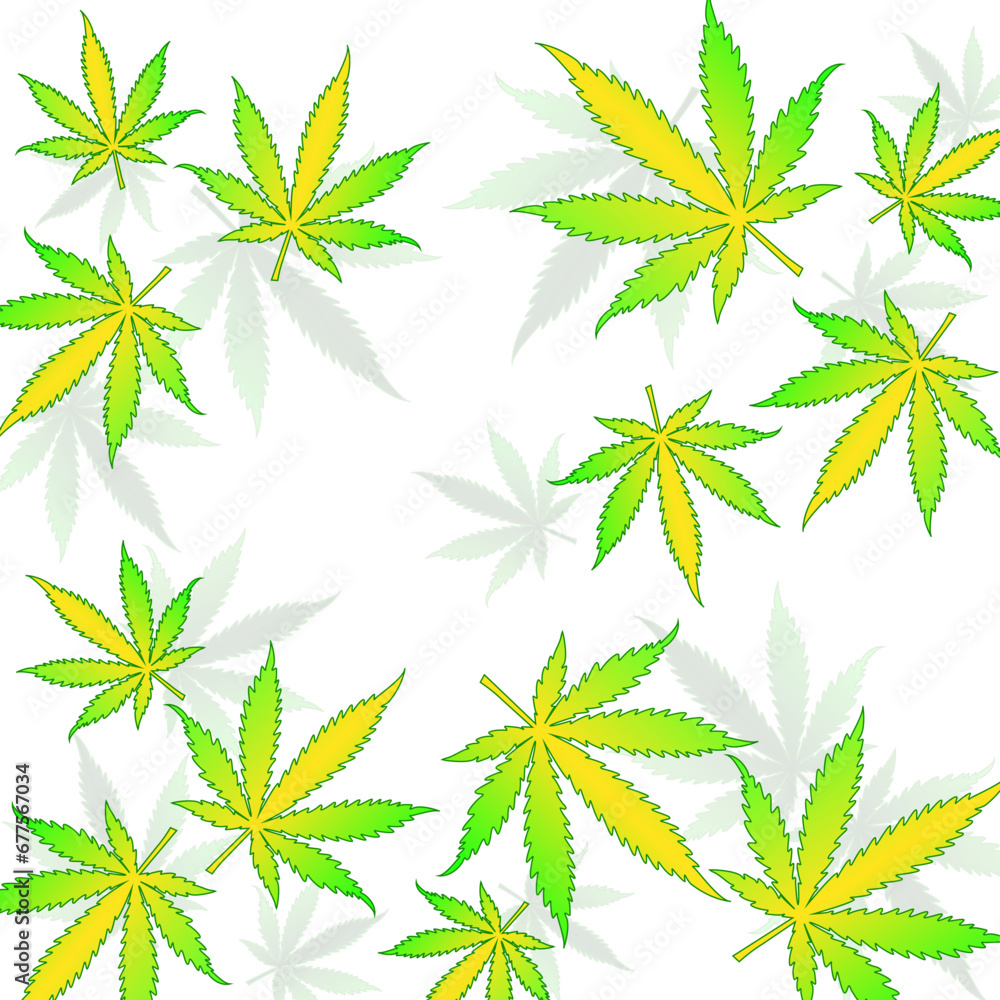 Cannabis leaves on white background. Vector illustration