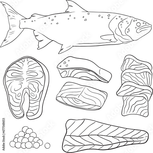 Set of salmon meat pieces isolated on white background. Design element for menu, label, emblem, sign, poster. Vector illustration.  line vector set
