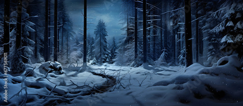 night landscape with snow. AI generated. © RZ