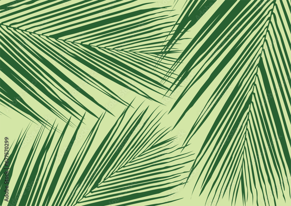 Tropical leaves palm branch background