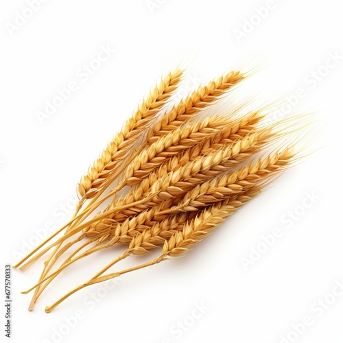 Photo ripe ears of wheat isolated on white background