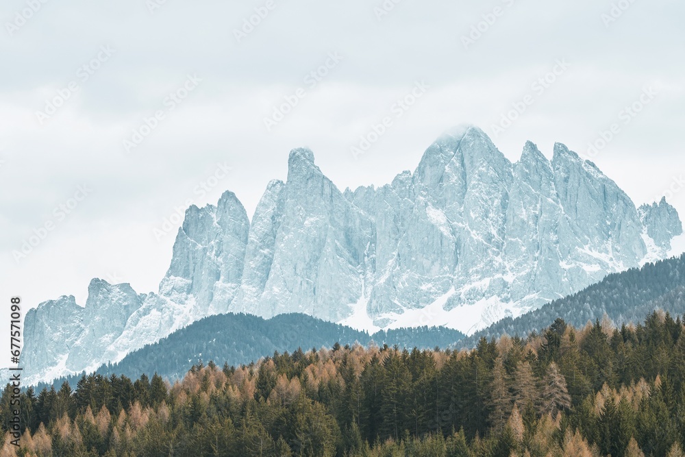 Pine trees and a snowy valley in front of the majestic Dolomites peaks in the Italian Alps. landscape of natural beauty and winter wonder. A perfect place for destination travel. View of the Dolomites