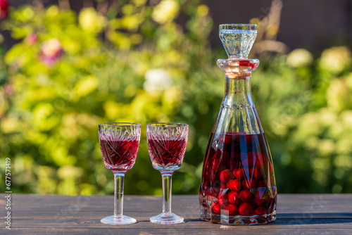Homemade red cherry brandy in glasses and in a bottle on a wooden table in a summer garden