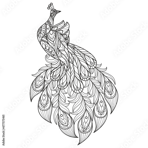 Wallpaper Mural So cute peacock hand drawn for adult coloring book Torontodigital.ca