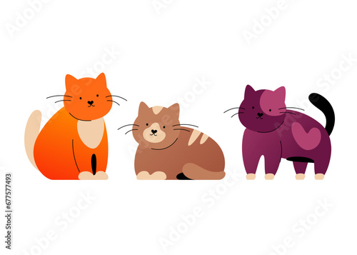 Turkish cats - modern flat design style single isolated image