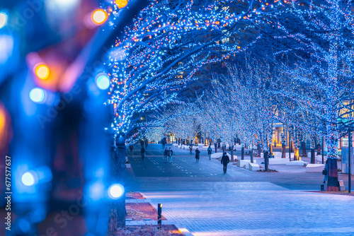 みなとみらいグランモール公園のイルミネーション【神奈川県・横浜市】　
Illumination of Yokohama Minato Mirai - Kanagawa, Japan