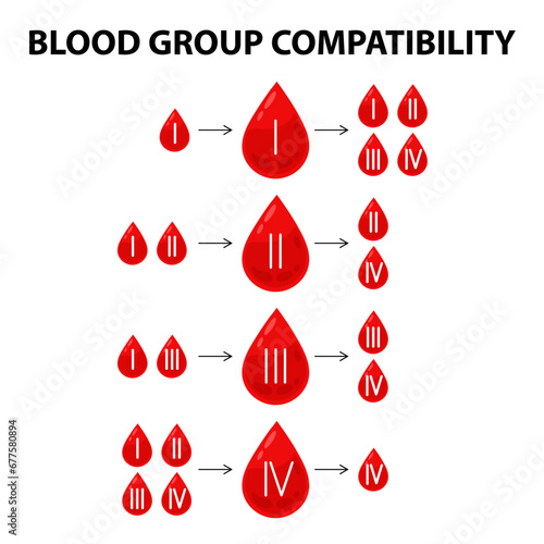 Blood. Vector diagram of blood groups and their compatibility. Blood group diagram in flat style. Medicine, science.