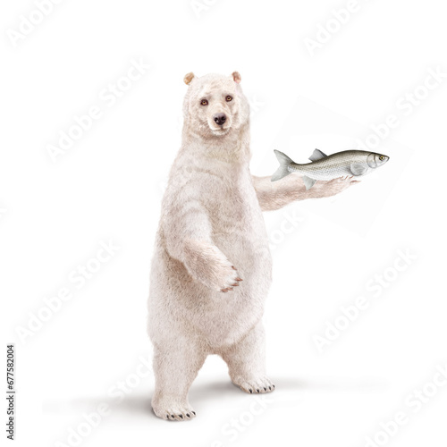 un ours polaire qui tiens un poisson amblet dans la main