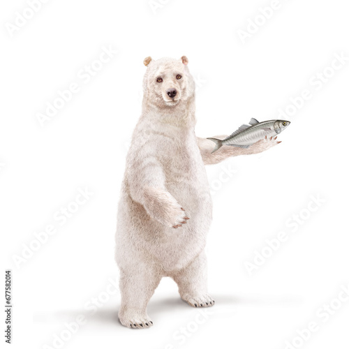 un ours polaire qui tiens un poisson chinchard dans la main