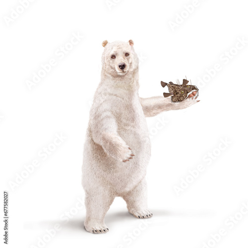 un ours polaire qui tiens un poisson lotte dans la main
