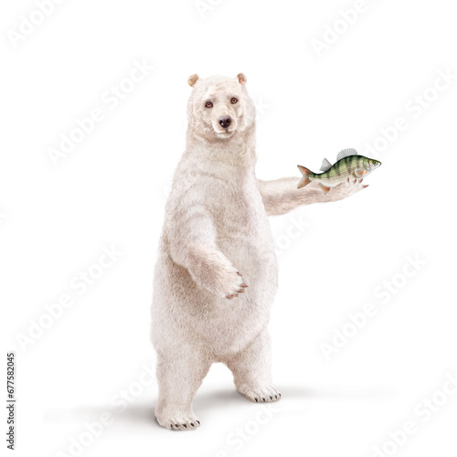 un ours polaire qui tiens un poisson perche dans la main