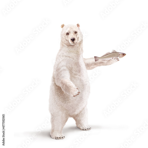un ours polaire qui tiens un poisson maigre dans la main