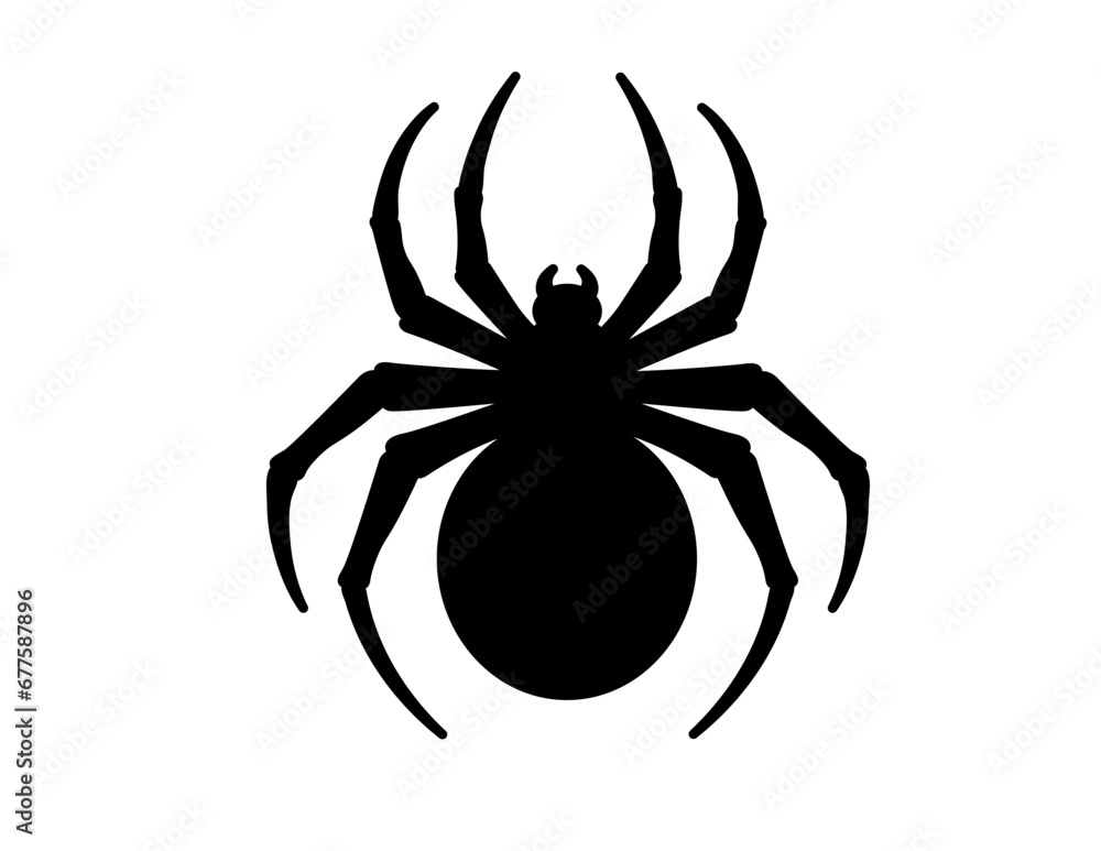 Spider Spider