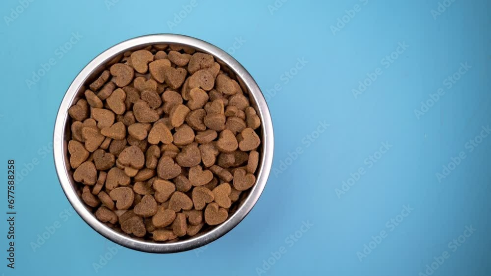Heart-shaped dry dog food spins in a bowl, blue background. Symbol of pet affection. Heart-shaped dry dog food spins in a bowl, blue background. Symbol of pet affection.