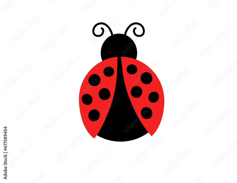 Obraz premium Ladybug