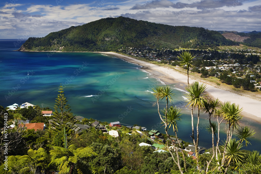 Fototapeta premium ZUP-733576