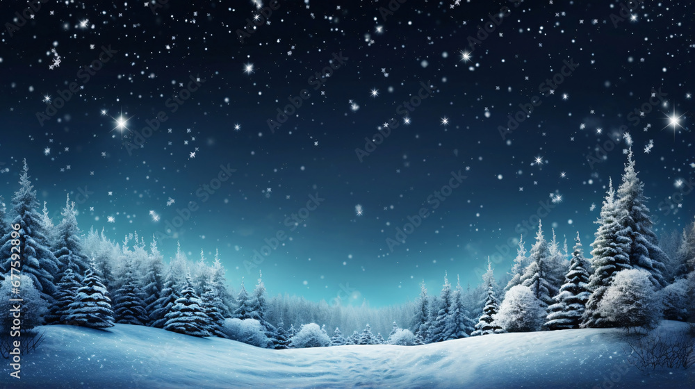 冬の夜の森、空と星の自然風景