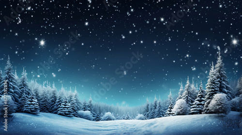 冬の夜の森、空と星の自然風景