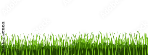 Green grass PNG. Grass border illustration. Transparent PNG illustration.