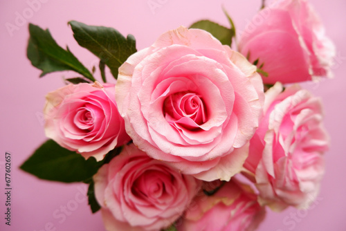 Beautiful pink roses arrangement on pink background. Roses composition background for Mother's day, Woman's day, Rose day and Valentine's day.  © Lala