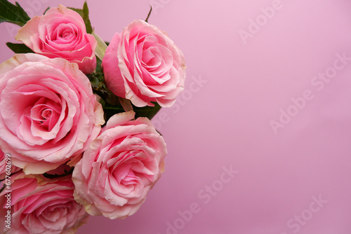 Beautiful pink roses arrangement on pink background. Roses composition background for Mother s day  Woman s day  Rose day and Valentine s day. 